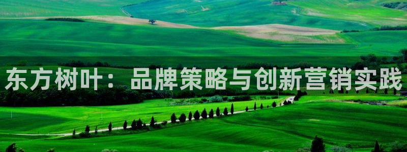 必赢集团网站官网