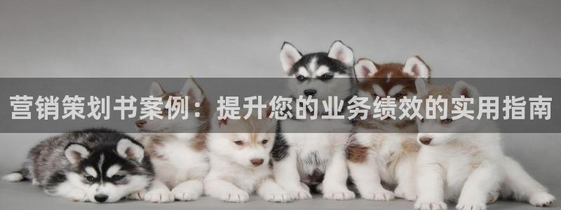 必赢3003+会员账号