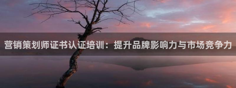 必赢网站是哪一个