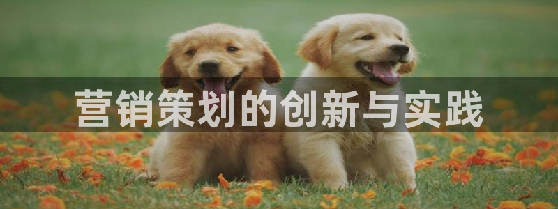 数30技巧必赢三个数