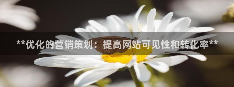 必赢集团菲律宾