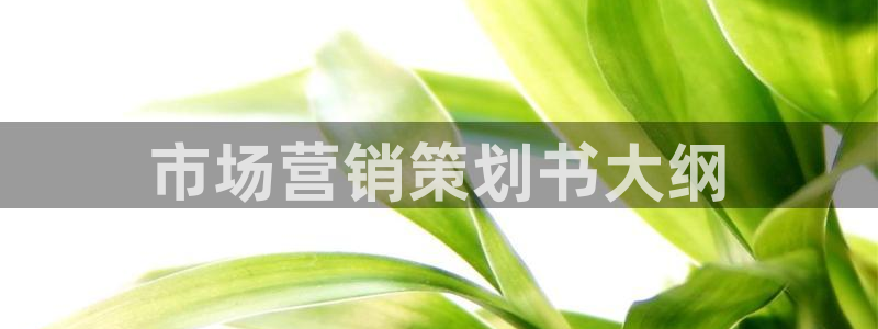 必赢国际苹果怎么下载