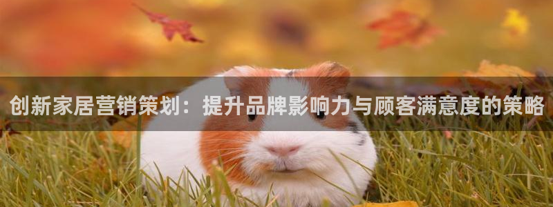 必赢官网下载安装最新版