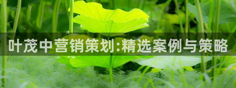 9965必赢游戏网址