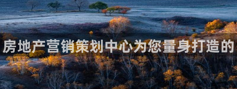 必赢游戏官网