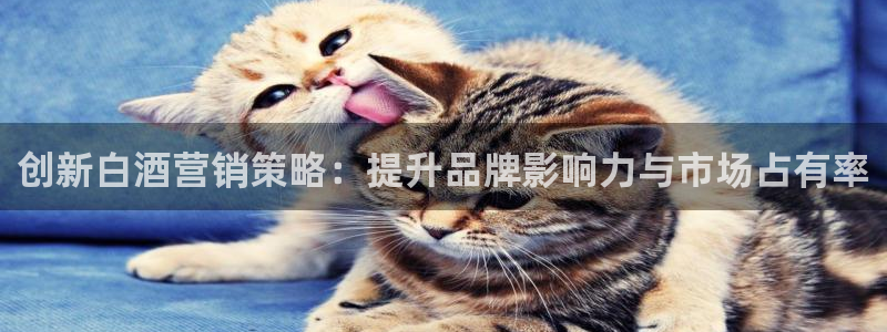 必赢app官方网站