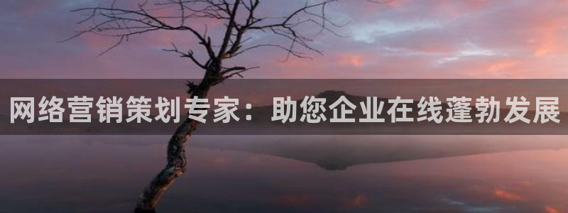 必赢手机app下载抢红包