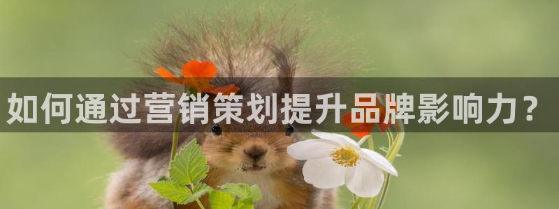 必赢活动安卓下载app