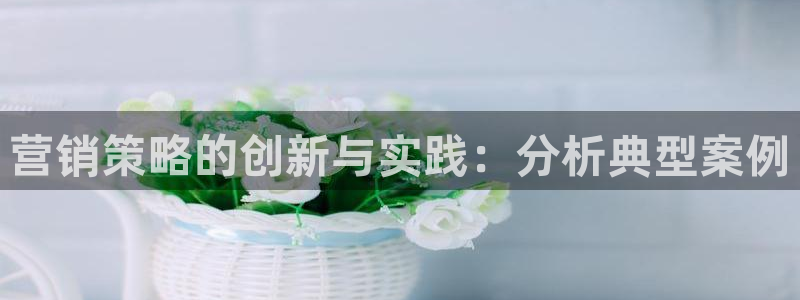 必赢3003平台