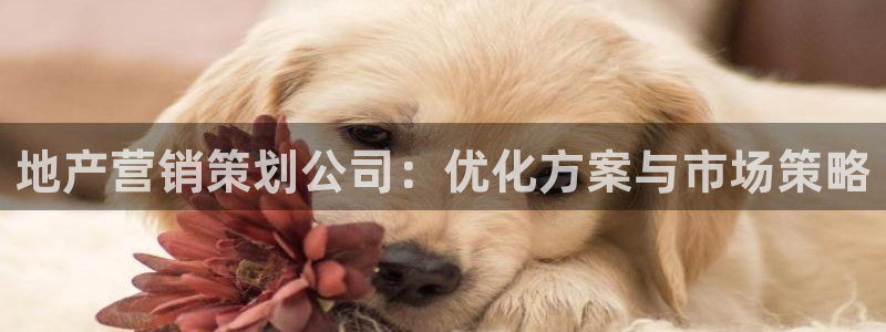 必赢国际是什么