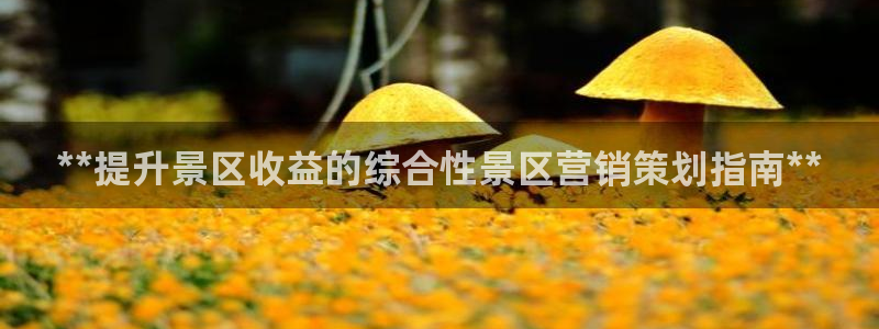 必赢3003平台