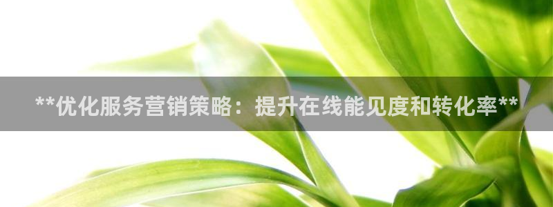 必赢国际437app下载