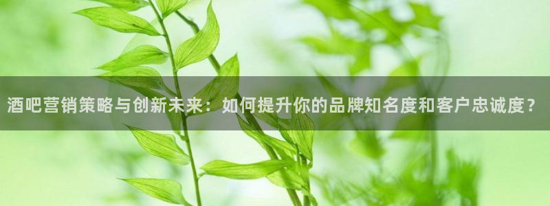 必赢客安卓版