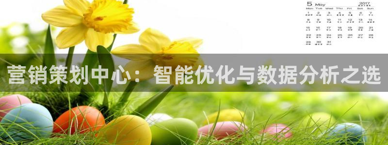 必赢客软件