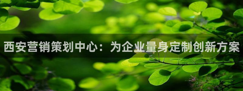 必赢集团网站是什么