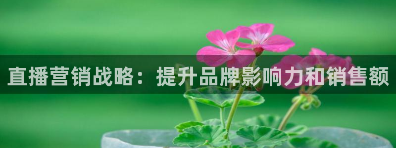 必赢客软件