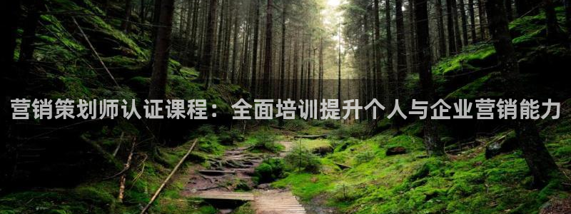 必赢国际437怎么样