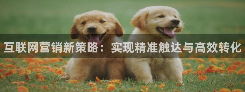 必赢是真的吗