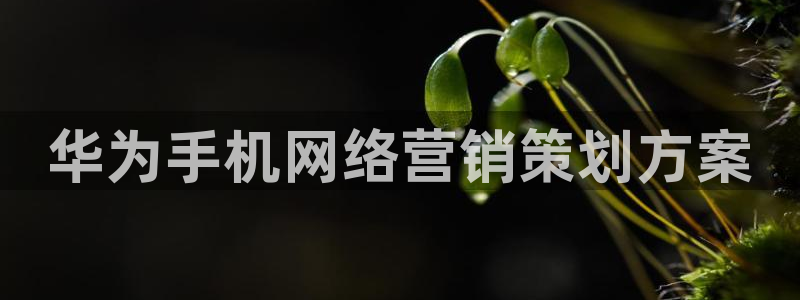 必赢国际437官方