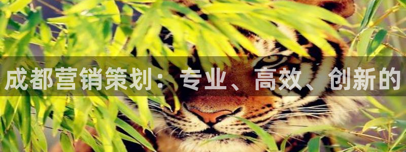 必赢下载官方