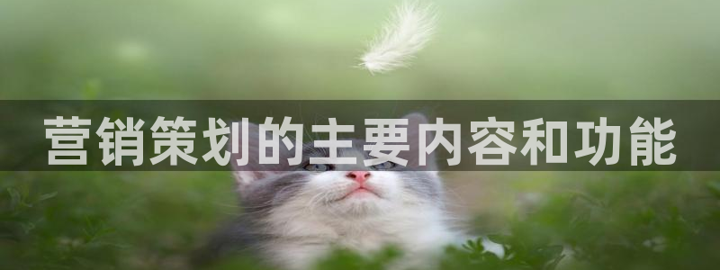 必赢官网app下载安装苹果版