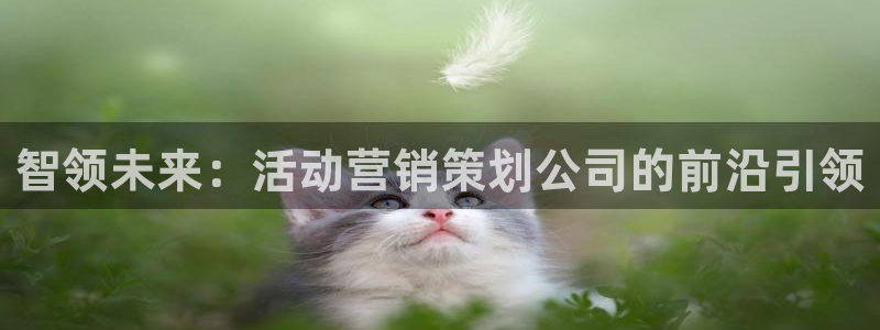 必赢集团菲律宾