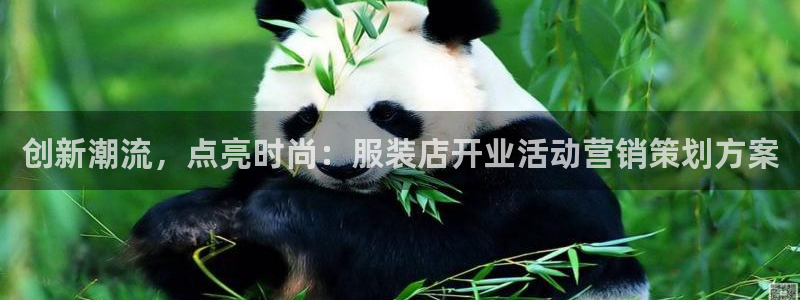 必赢国际app最新官网