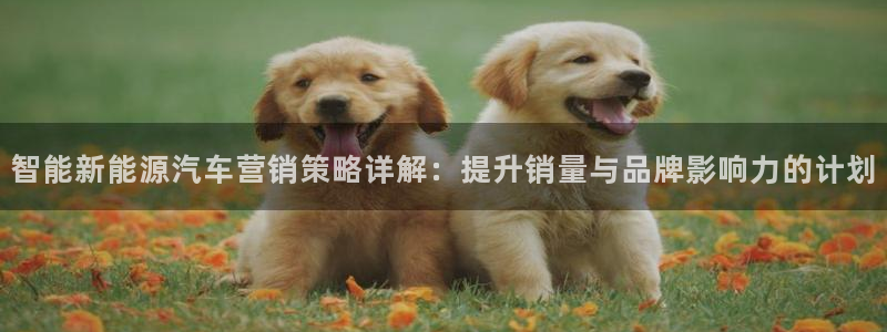 必赢app官方网站