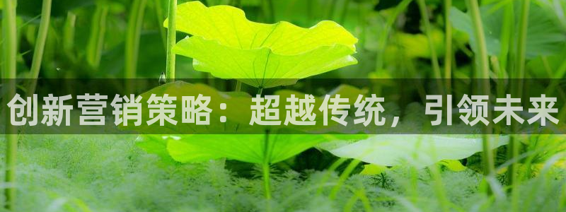 必赢app安卓版下载