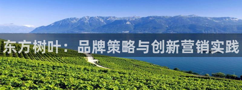 必赢官网网站首页入口