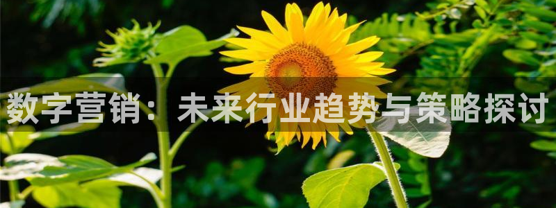 必赢8111e