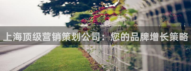 必赢手机app下载最新版本安装