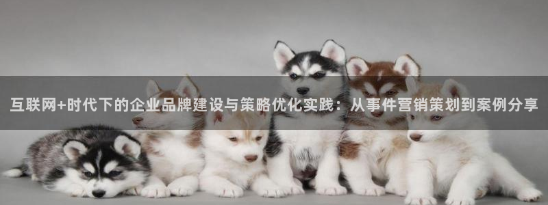 必赢国际a600典ccapp