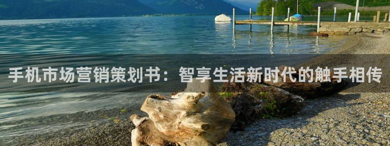 必赢官网网站