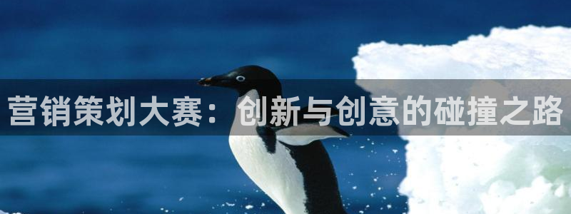 必赢72882网址