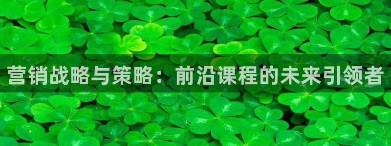 必赢3003网官