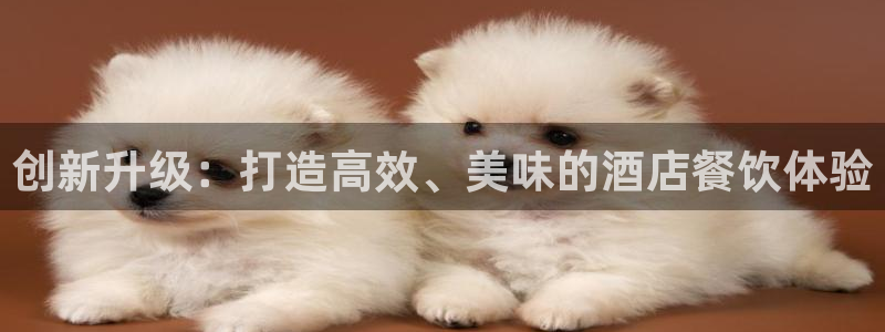 必赢亚赢网站官网下载安卓版