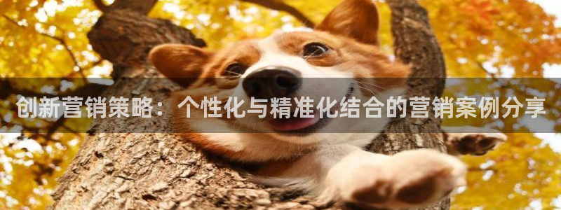 必赢437官网