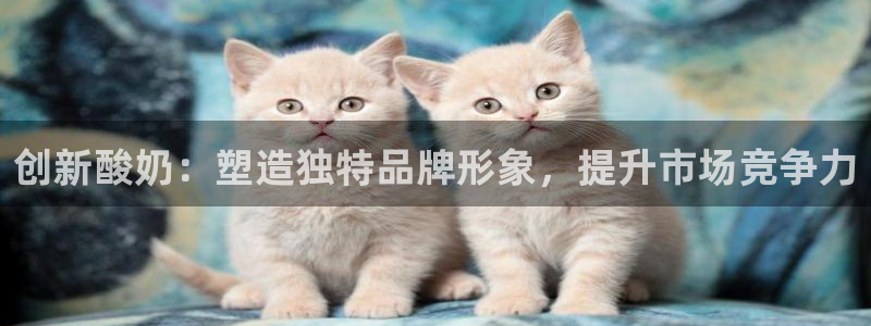 必赢这个软件怎么样