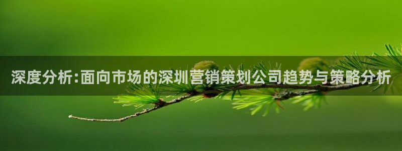 必赢集团怎么样
