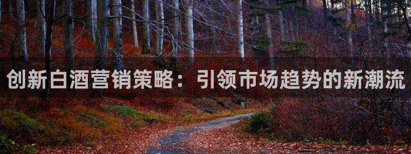 9965必赢游戏特色