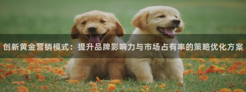 必赢官网app下载