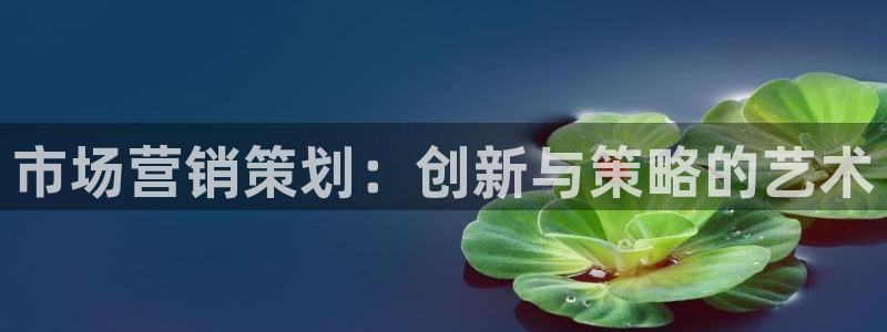 必赢766