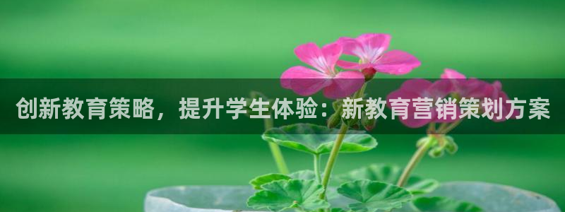 9965必赢游戏app