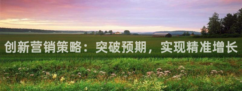 必赢国际437官方：创新营销策