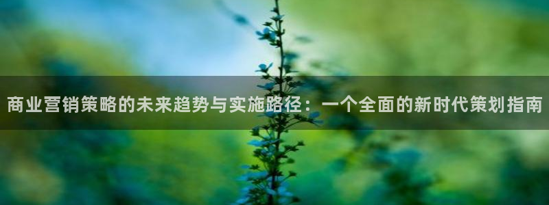 必赢手机版网站多少：商业营销策