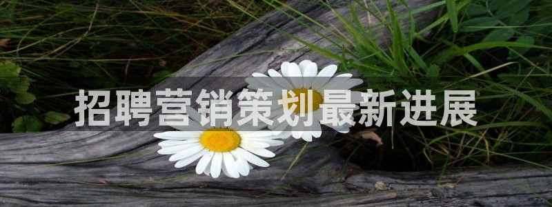 必赢线上网址：招聘营销策划最新