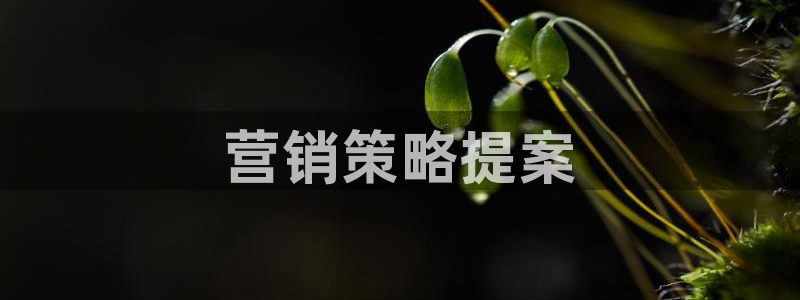 必赢官网入口下载