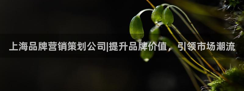 必赢官网网址多少号登录