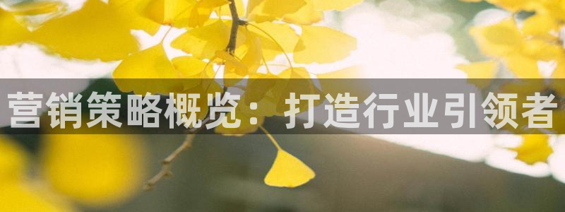 必赢365官方网登录